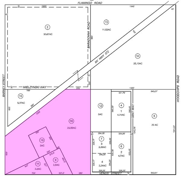 2601 W Hwy 372, Pahrump, NV à vendre - Photo principale - Image 1 de 1