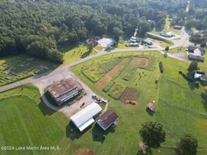 9140 & 9269 Highway 63 N, Alexander City, AL - aerial  map view - Image1