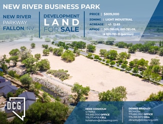 Plus de détails pour New River Pky, Fallon, NV - Terrain à vendre