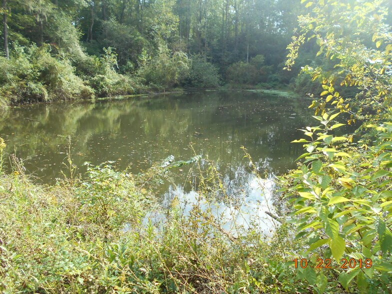 282 Tuckasee King Rd, Clyo, GA à vendre - Autre - Image 3 de 13