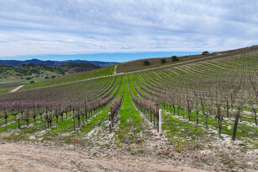 7903 Cat Canyon rd, Los Alamos, CA à vendre - Photo du bâtiment - Image 2 de 24