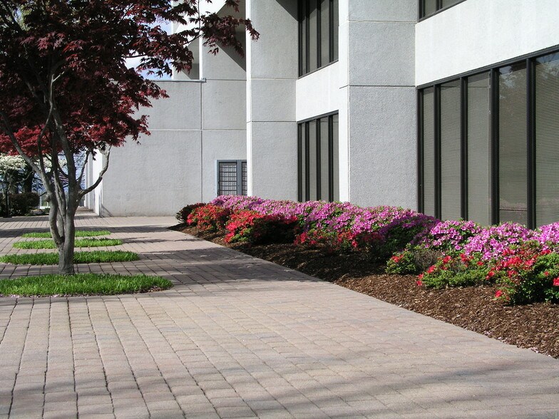 208 Sunset Dr, Johnson City, TN à louer - Photo du bâtiment - Image 2 de 7