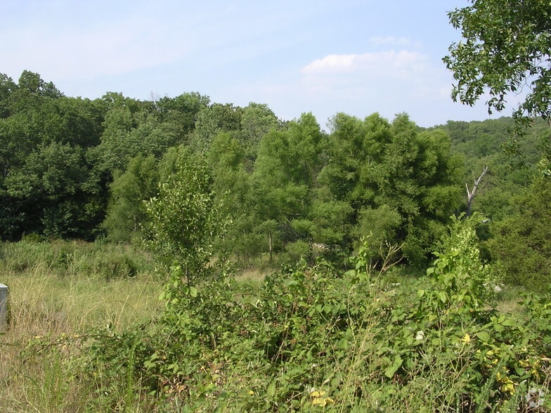 Frank Rea Blvd At Garges Way And Scott Blvd, Branson, MO à vendre - Photo du bâtiment - Image 1 de 1