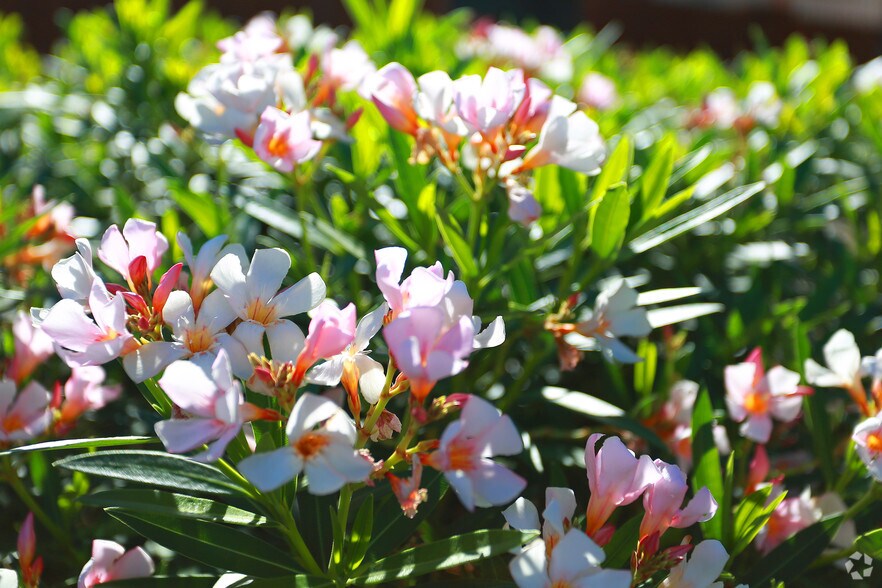 6850 E Golf Links Rd, Tucson, AZ à vendre - Photo du bâtiment - Image 3 de 26