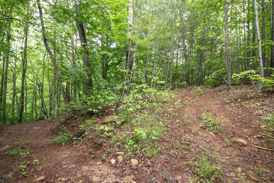 HWY 515 & Hidden Creek rd, Jasper, GA à vendre - Photo du bâtiment - Image 3 de 21