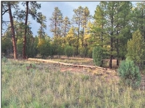 4900 Arizona 260, Lakeside, AZ for sale - Building Photo - Image 3 of 12