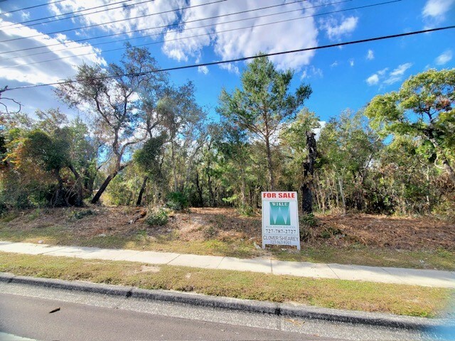 000 Little Rd. South of Jasmine Blvd., New Port Richey, FL à vendre - Autre - Image 3 de 10