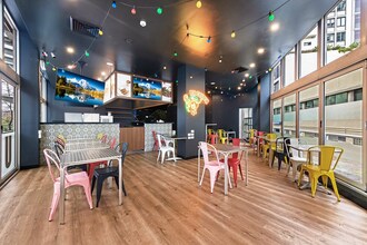 1 Albany St, St Leonards à louer Photo intérieure- Image 1 de 10