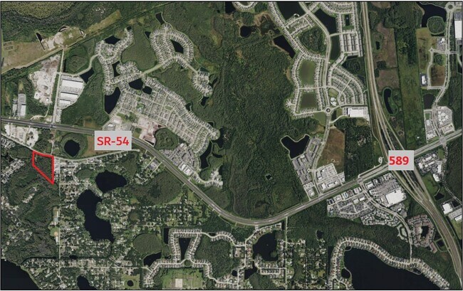 More details for 14356 Black Lake Rd, Odessa, FL - Land for Sale