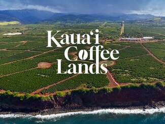 Plus de détails pour 870 Halewili rd, Kalaheo, HI - Terrain à vendre