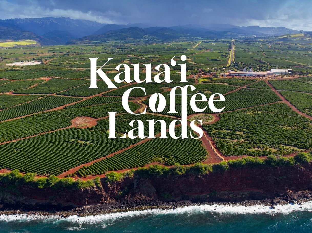 870 Halewili rd, Kalaheo, HI for sale Primary Photo- Image 1 of 6