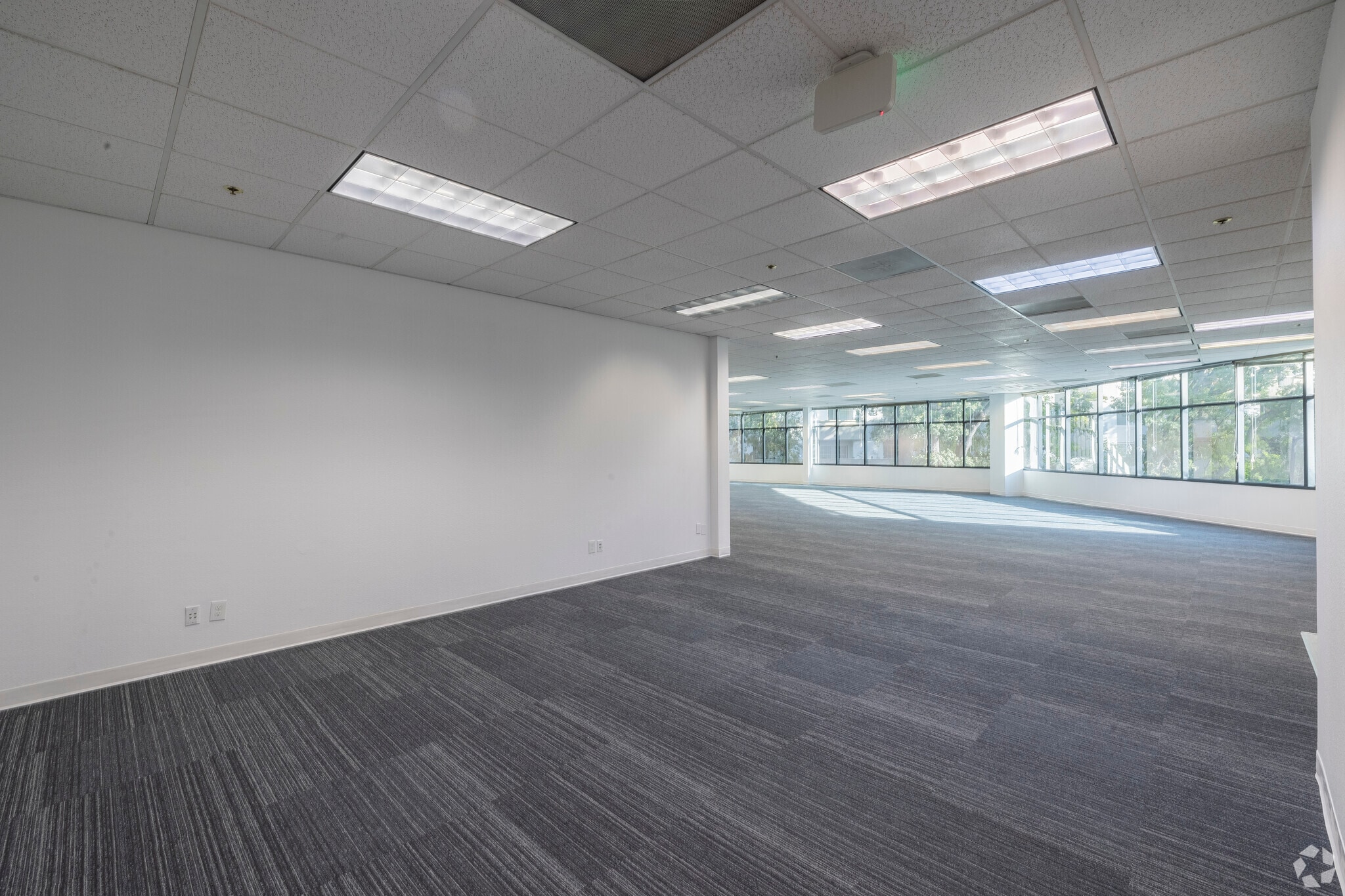 3100 Oak Rd, Walnut Creek, CA for lease Interior Photo- Image 1 of 15