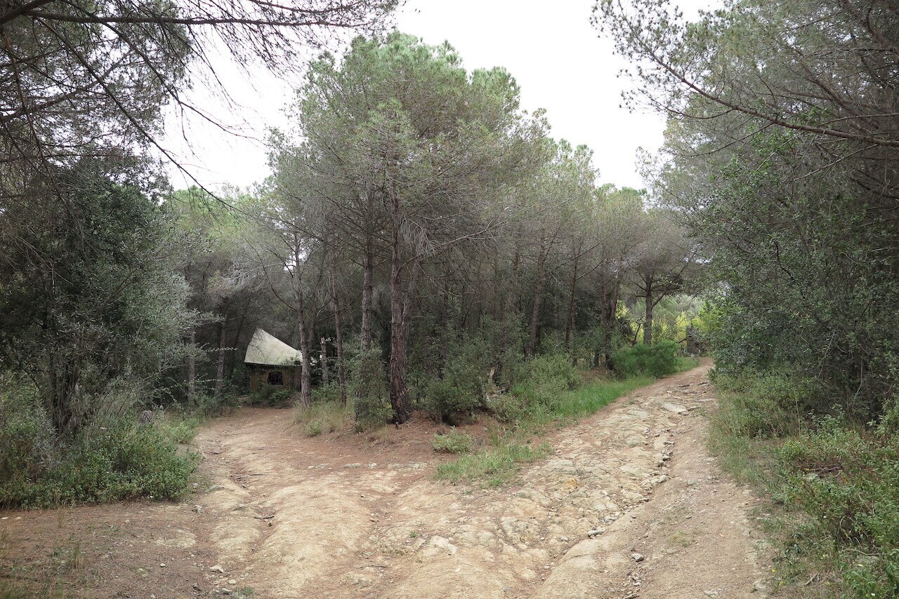 Terrain dans La Llagosta, Barcelona à vendre Photo principale- Image 1 de 6