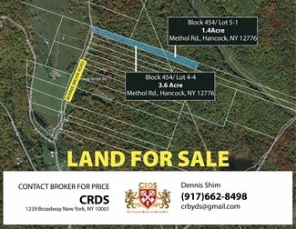 Plus de détails pour N/A Methol Rd, Roscoe, NY - Terrain à vendre
