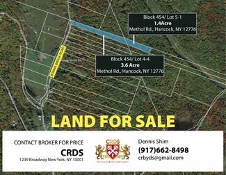 Plus de détails pour N/A Methol Rd, Roscoe, NY - Terrain à vendre