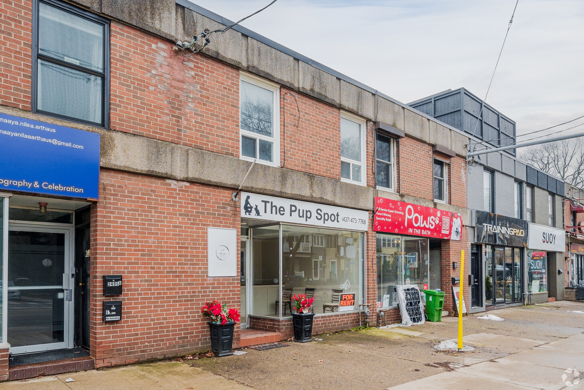 2493 Queen St E, Toronto, ON for lease Primary Photo- Image 1 of 4