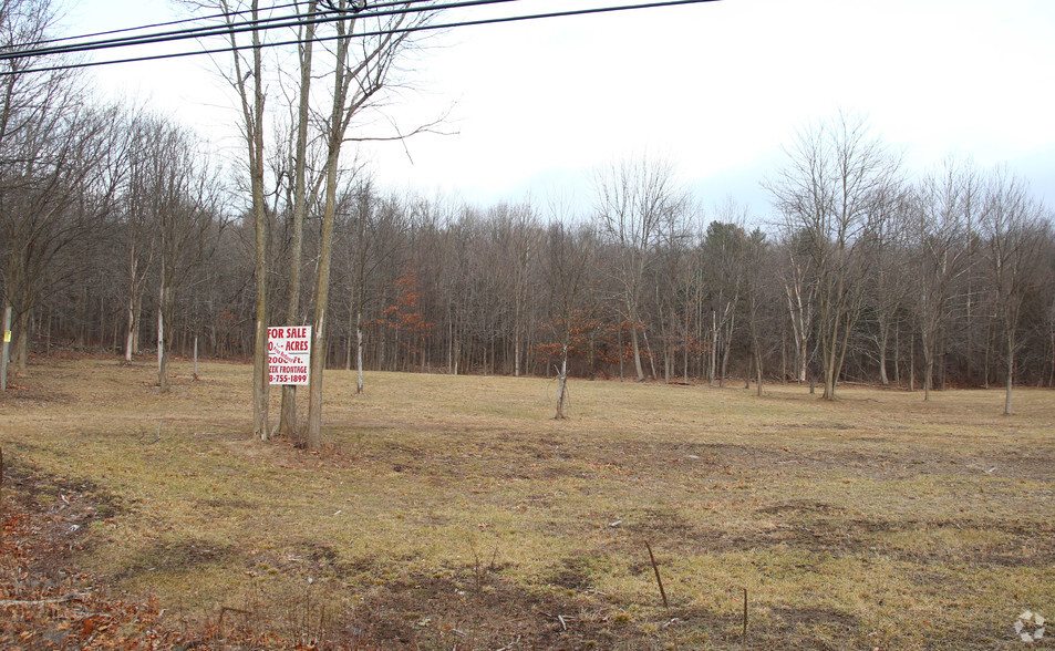 Route 32, Cairo, NY for sale - Primary Photo - Image 1 of 1