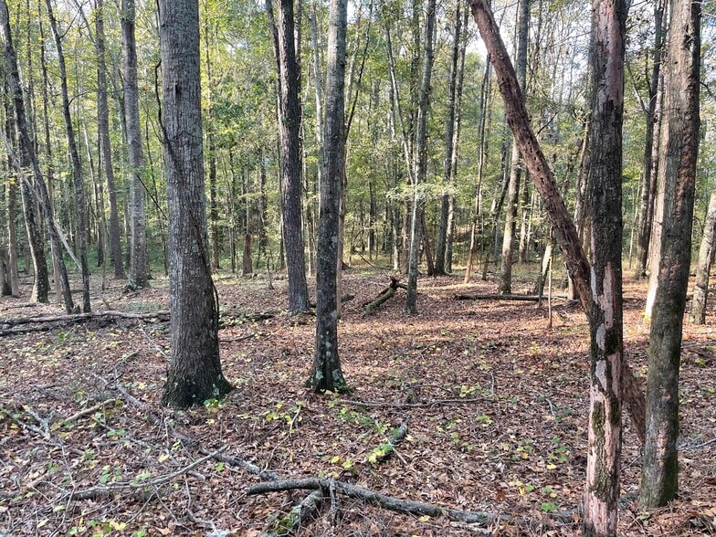 44 County Line-Auburn Road, Auburn, GA for sale - Other - Image 3 of 7