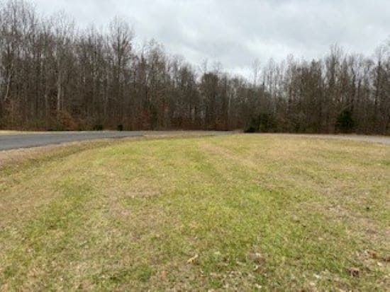 0 Ross rd, Cedar Hill, TN for sale Primary Photo- Image 1 of 6