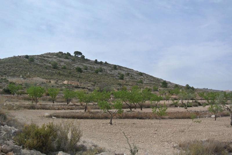 Land in Jumilla, Murcia for sale - Aerial - Image 3 of 15