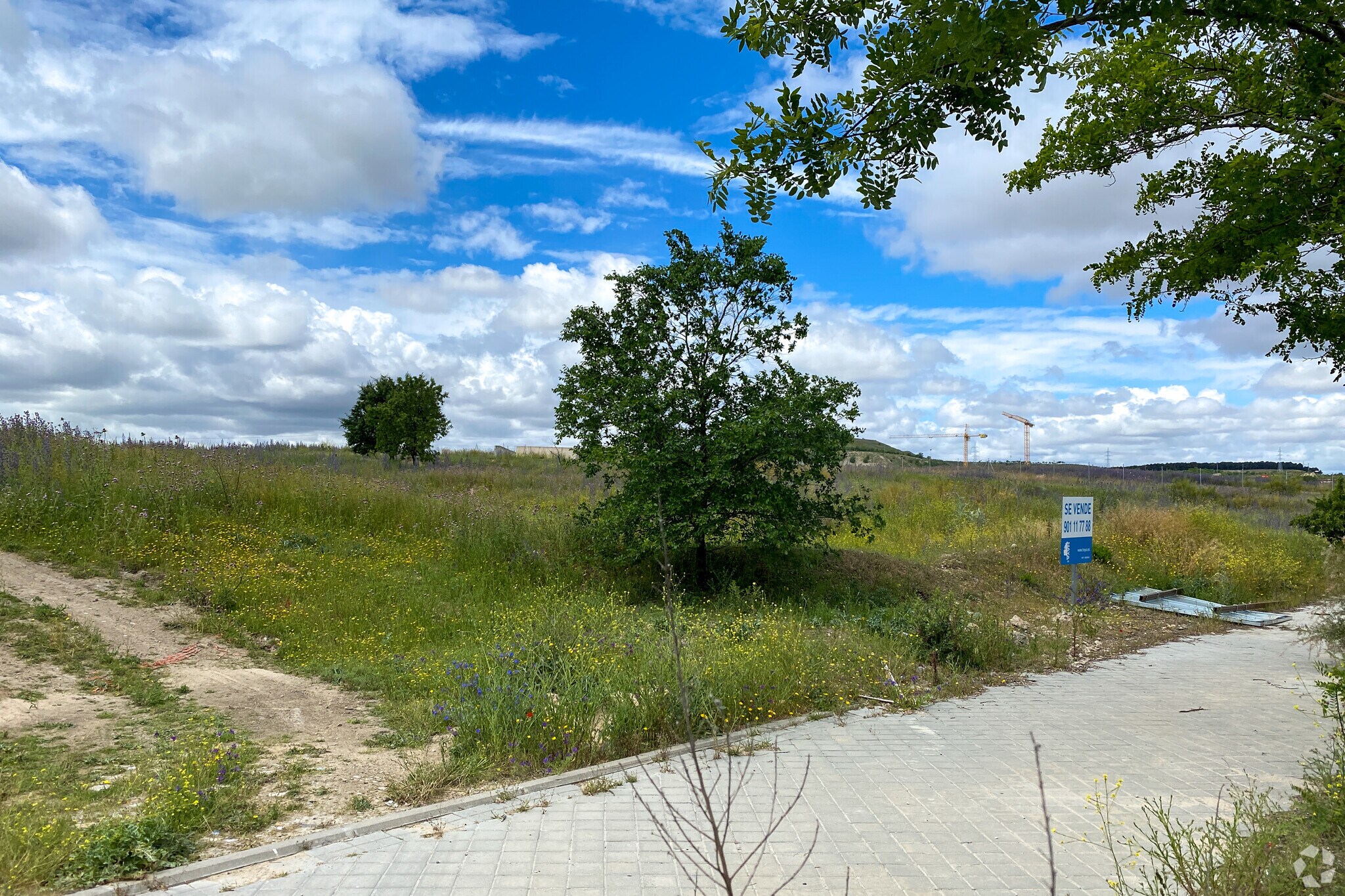 Calle de la Pirotécnia, 70, Madrid, Madrid for sale Primary Photo- Image 1 of 4