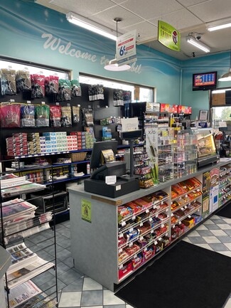 Plus de détails pour 6009 Van Dyke Rd, Brown City, MI - Commerce de détail à vendre