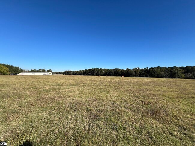 More details for 0 Tallahassee Highway, Attapulgus, GA - Land for Sale