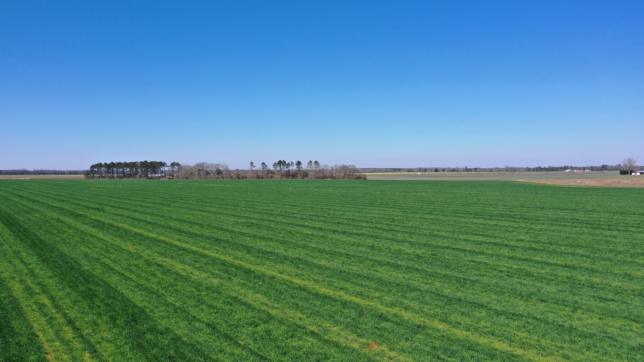 Lot 14 Davis Pond Rd rd, Atmore, AL for sale Primary Photo- Image 1 of 13