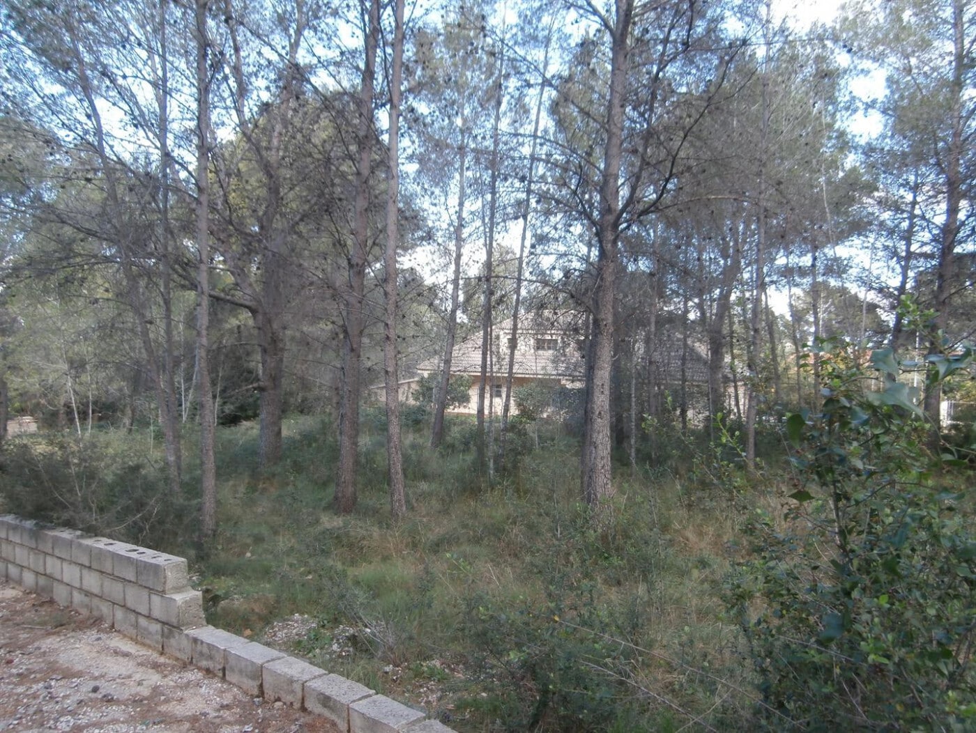 Valletes de Bru, 118, Alzira, Valencia for sale Primary Photo- Image 1 of 4
