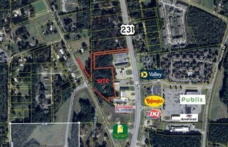 Plus de détails pour 19th St S & Hwy 231 hwy, Pell City, AL - Terrain à vendre