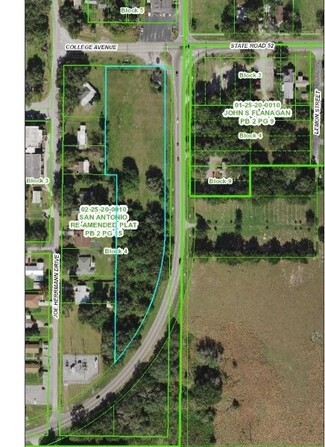 Plus de détails pour 32946 College Ave, San Antonio, FL - Terrain à vendre