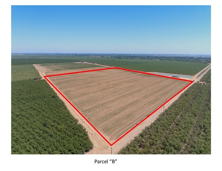 2155 Center Road, Vernalis, CA à vendre - Photo principale - Image 1 de 6