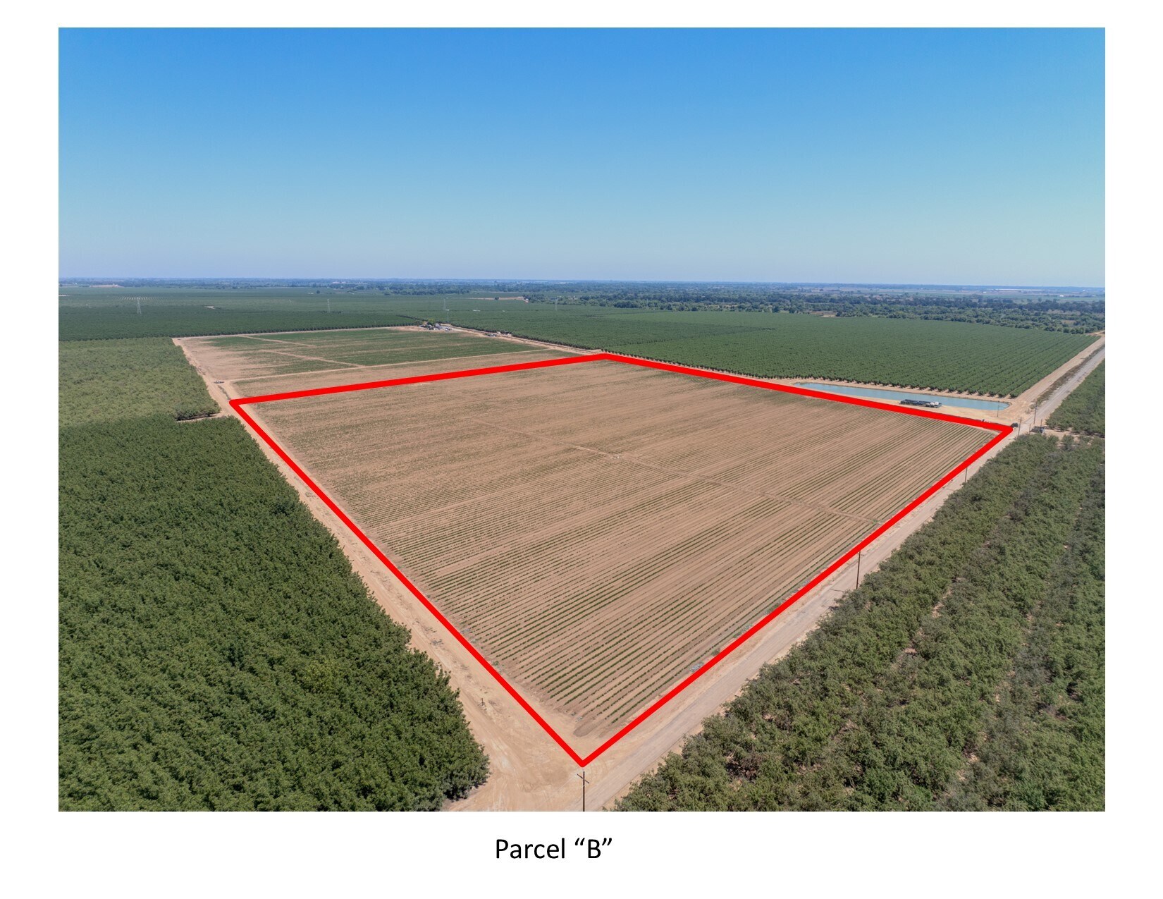 2155 Center Road, Vernalis, CA à vendre Photo principale- Image 1 de 7