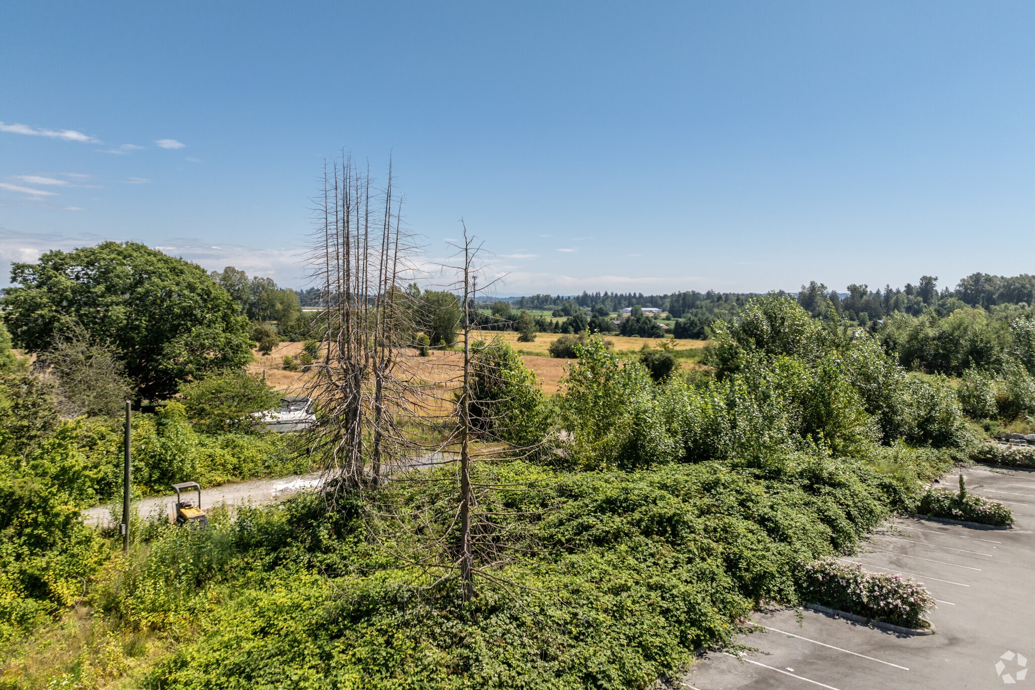 15290 66 Ave, Surrey, BC for sale Primary Photo- Image 1 of 2