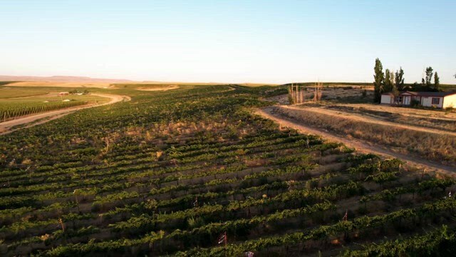 24013 Arena Valley Rd, Parma, ID à vendre - Vidéo sur l’inscription commerciale - Image 2 de 10