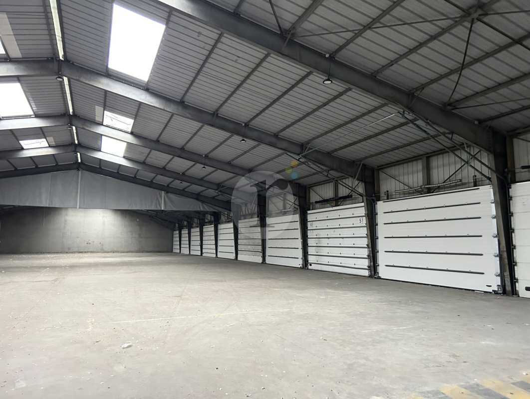Flex in Lille for sale Interior Photo- Image 1 of 5