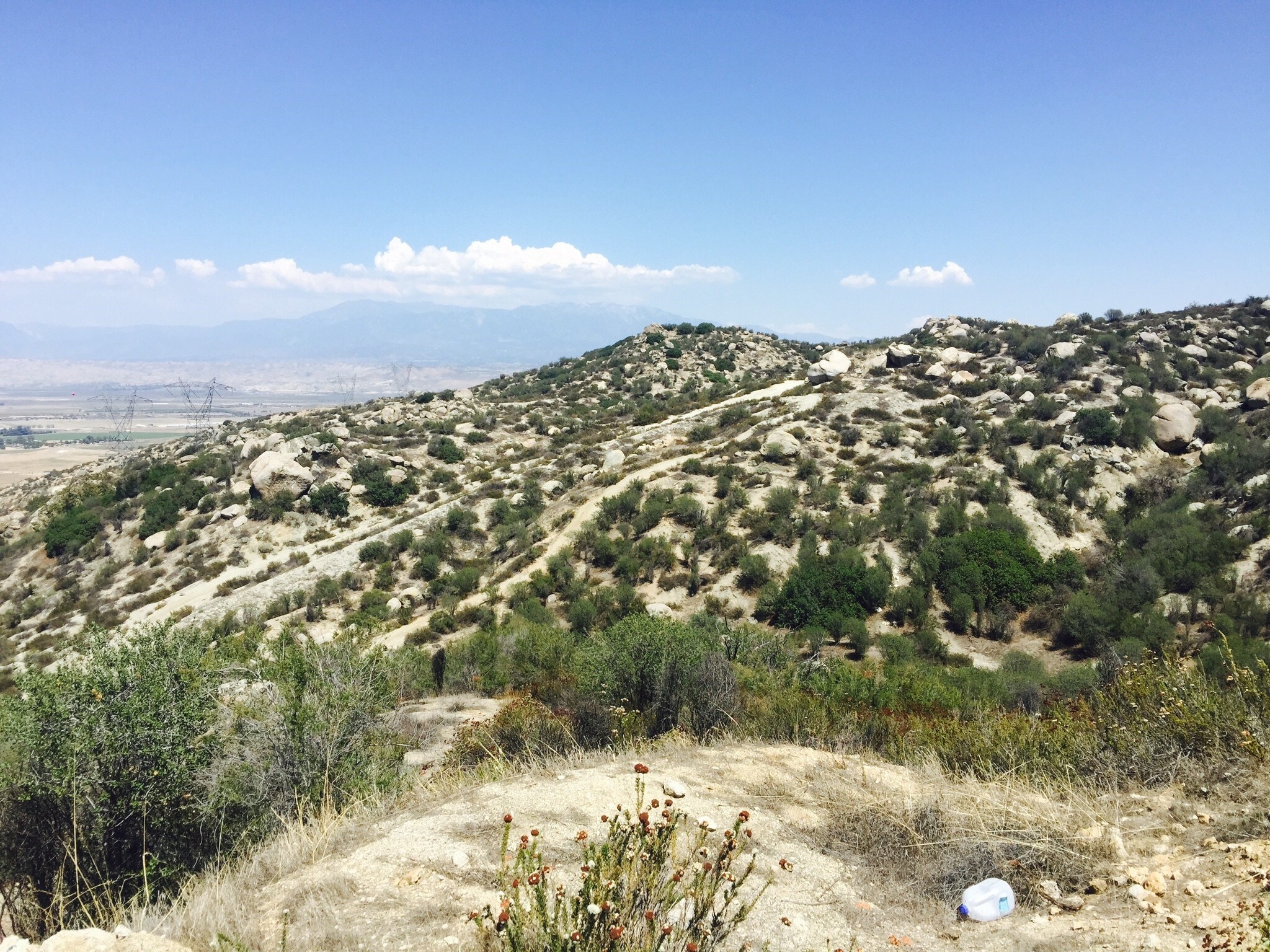 18 Polley St, Nuevo, CA for sale Primary Photo- Image 1 of 28