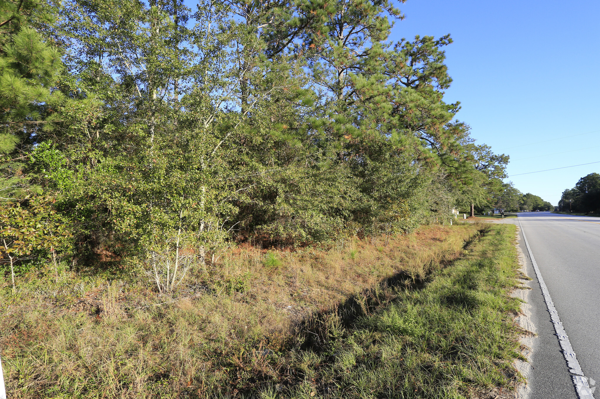 4557 N Jefferies Hwy, Walterboro, SC for sale Primary Photo- Image 1 of 1