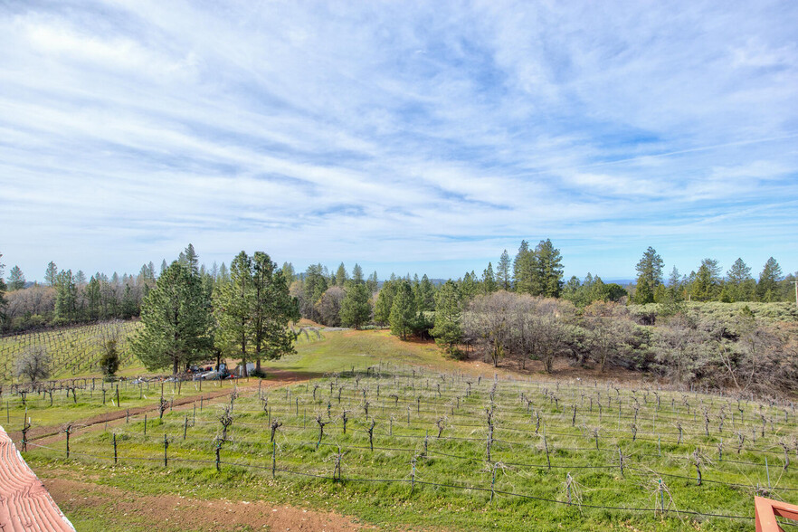 4771 Greenhills Rd, Placerville, CA à vendre - Photo du b timent - Image 3 de 79