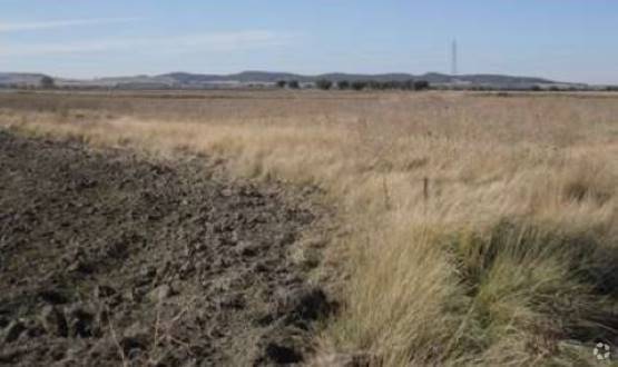 Paraje Sotillo de Palomero, Ciempozuelos, Madrid à vendre - Photo du bâtiment - Image 2 de 3