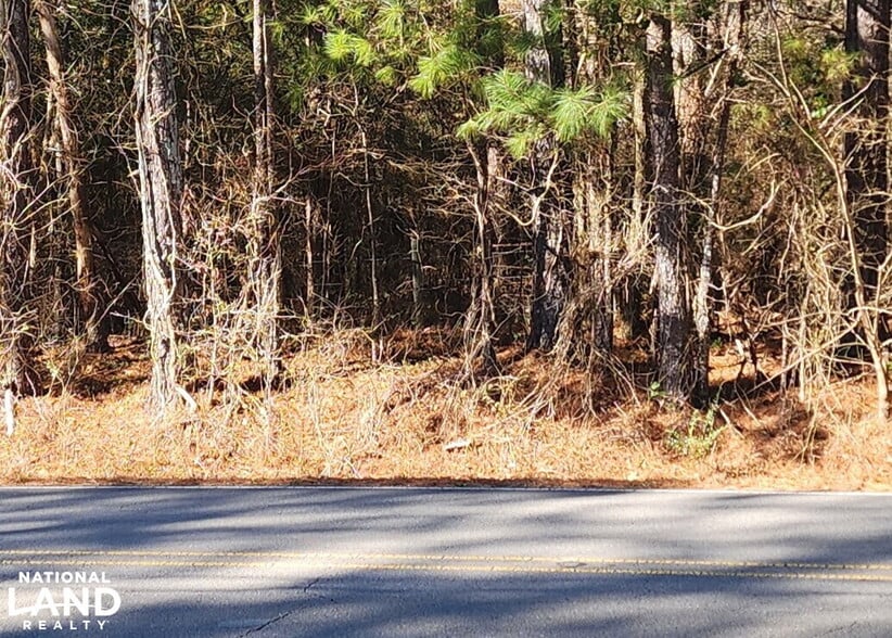 0 S Sauty Rd, Langston, AL for sale - Primary Photo - Image 1 of 10