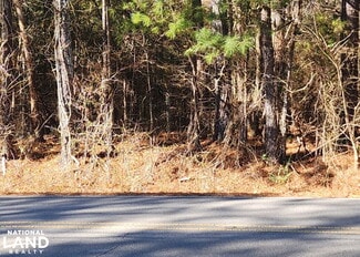 More details for 0 S Sauty Rd, Langston, AL - Land for Sale