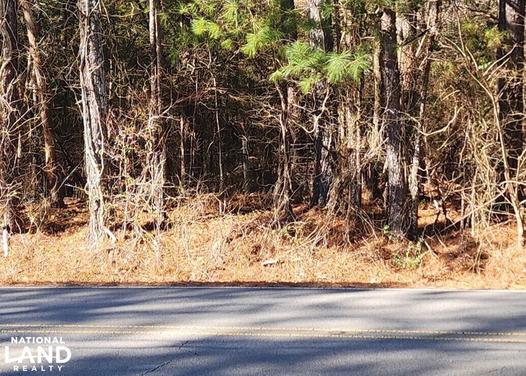 0 S Sauty Rd, Langston, AL for sale Primary Photo- Image 1 of 11