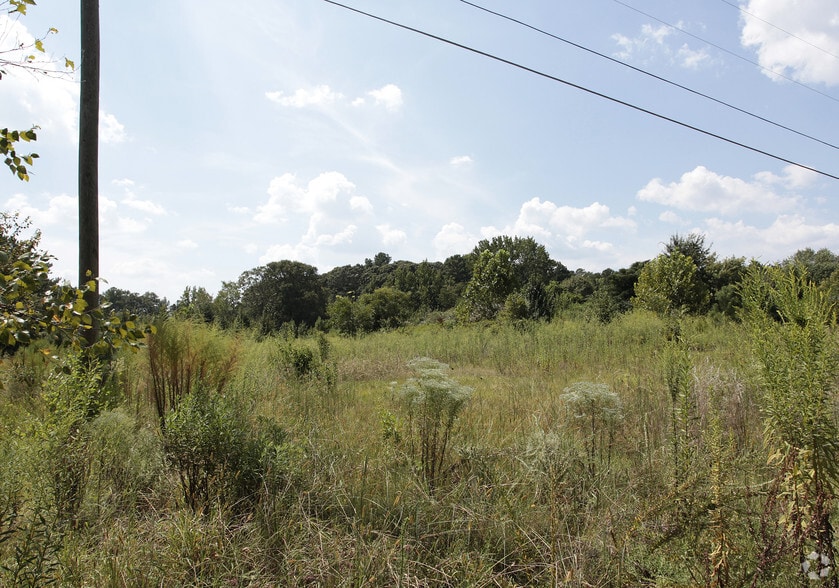 142 -Palmetto Rd, Tyrone, GA for sale - Building Photo - Image 3 of 5