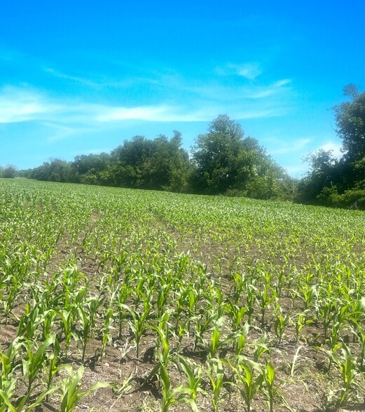 State Highway 53 & Little Flock Road, Temple, TX for sale - Building Photo - Image 2 of 4