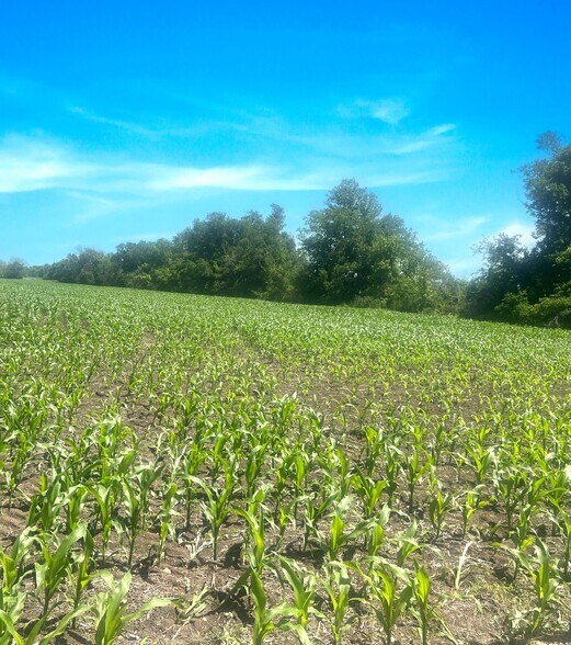 State Highway 53 & Little Flock Road, Temple, TX à vendre - Photo du bâtiment - Image 2 de 4