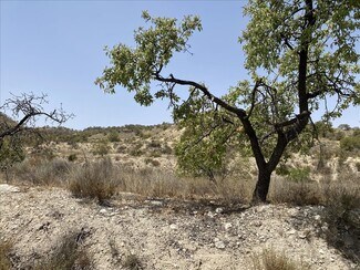 Plus de détails pour Camino del Algarrobo, 7, Abanilla - Terrain à vendre