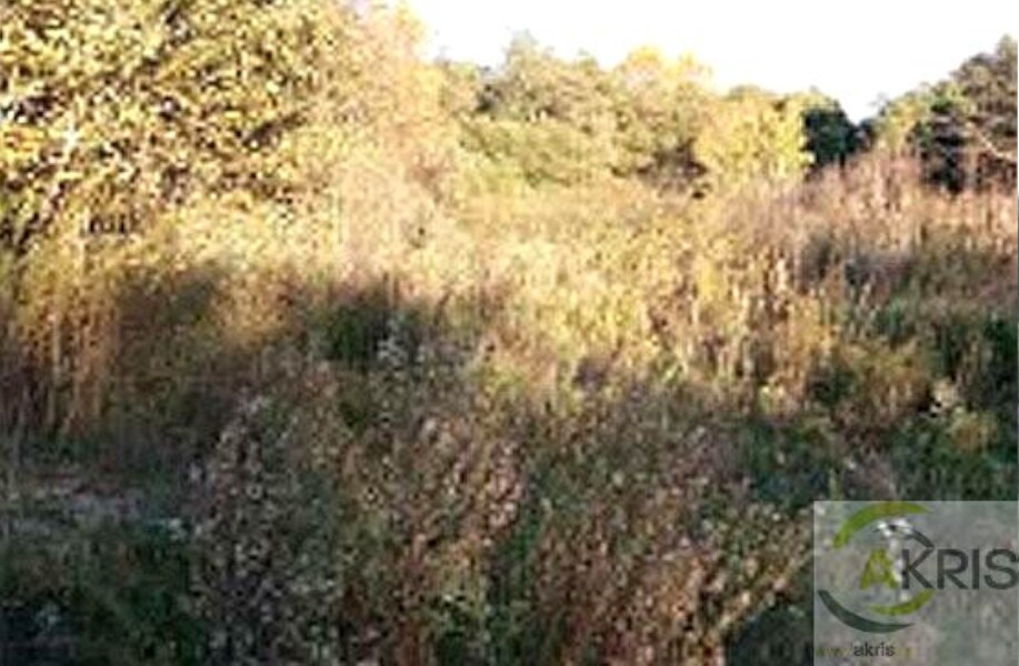 Terrain dans Vidreres, Gerona à vendre Photo principale- Image 1 de 3