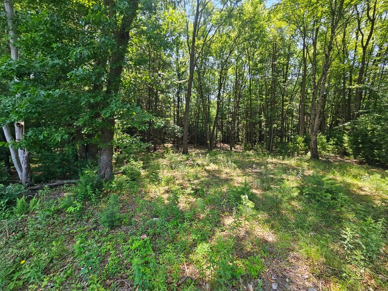 N. Hunter Hwy, Drums, PA à vendre - Photo du bâtiment - Image 2 de 2