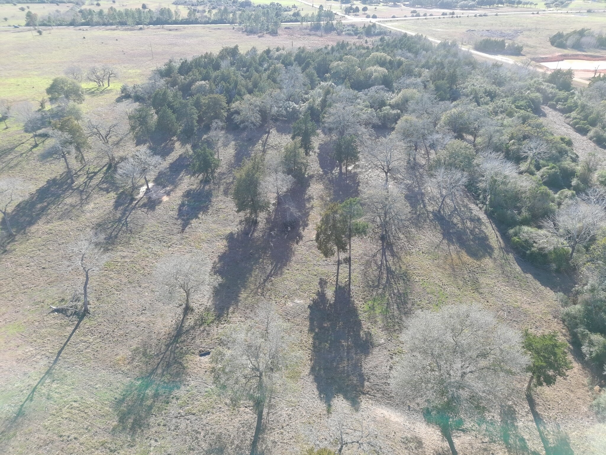 8450 FM 1094, Sealy, TX for sale Primary Photo- Image 1 of 4